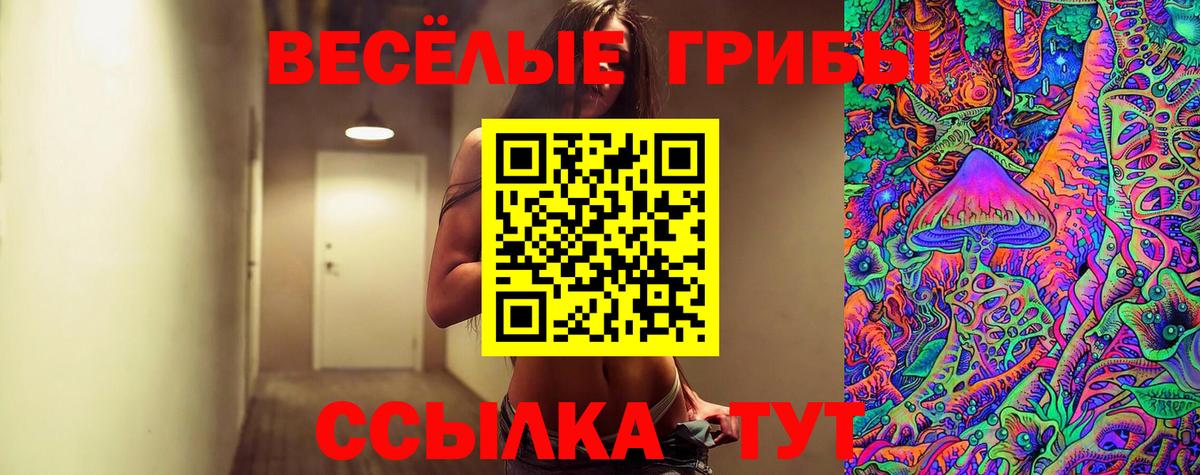 Галлюциногенные грибы Psilocybine cubensis  Вход с VPN  Кумертау  Галлюциногенные грибы Psilocybine cubensis 